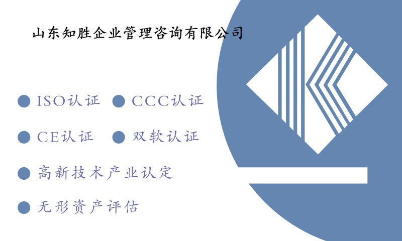 CS信息系统建设和服务能力评估体系